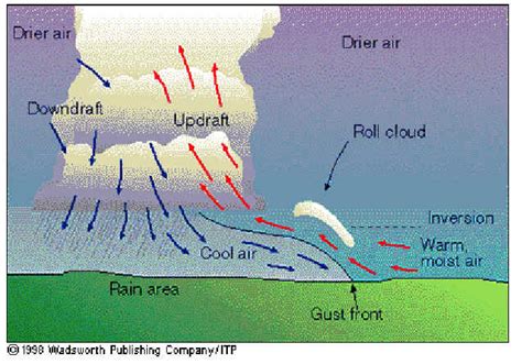 Life Cycle of a Thunderstorm | North Carolina Climate Office