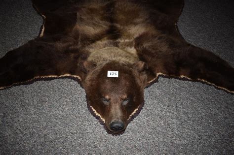 Lot - Grizzly Bear Rug