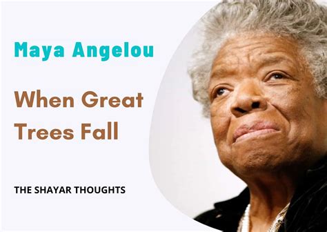 When Great Trees Fall Poetry - Maya Angelou