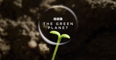 How BBC Earth Brought Plants to Life for 'The Green Planet' Documentary ...