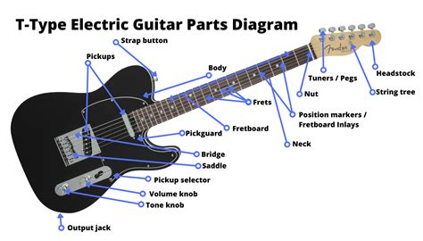 Parts Of The Bass Guitar | atelier-yuwa.ciao.jp