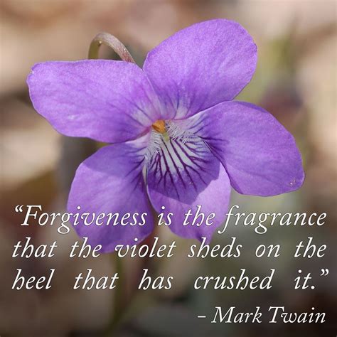 "Forgiveness is the fragrance that the violet sheds on the heel that ...