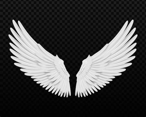 Premium Vector | Realistic wings angel wings white isolated pair of falcon wings d bird wings ...