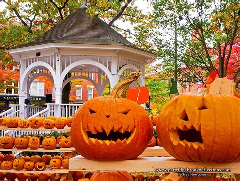 pumpkin festival photos | Keene New Hampshire's 21st Annual Pumpkin Festival | Pumpkin festival ...