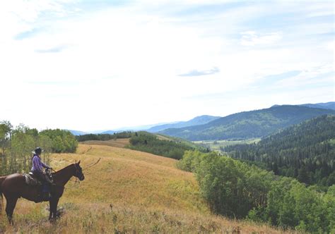 A self-guided Heartland tour | Tourism Calgary