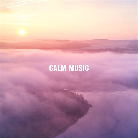 Calm Music for Dogs and Cats Playlist - Kolibri Music