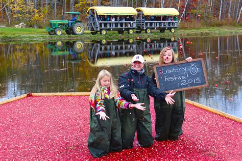 Bala Cranberry Festival - Muskoka Lakes Farm & Winery