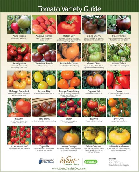 An explanation of a few types of tomatoes, how to plant and grow them, and tips… Tips For ...