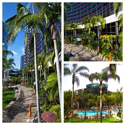 hotel lacroix waikiki reviews - Andrea Royster