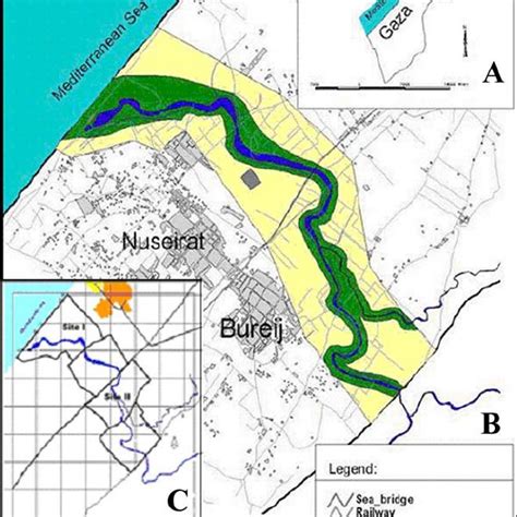 (PDF) The Avifauna of Wadi Gaza Nature Reserve, Gaza Strip -Palestine