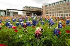 160 Welcome To Aggieland ideas in 2023 | college station, bryan college ...