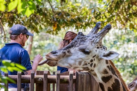 North Carolina Zoo in Asheboro Named In Top 10 Best In The Country