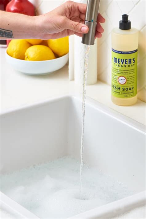 How to Clean Out Your Garbage Disposal and Sink Naturally | Apartment ...