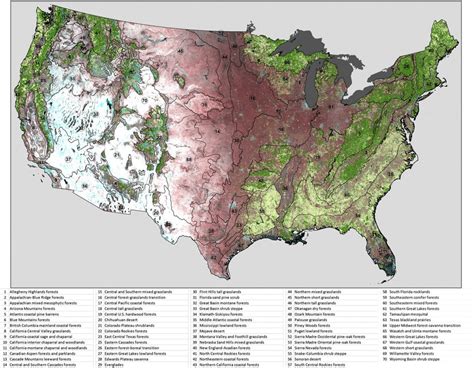 Map of forest cover where dark green is core forest and beige other... | Download Scientific Diagram