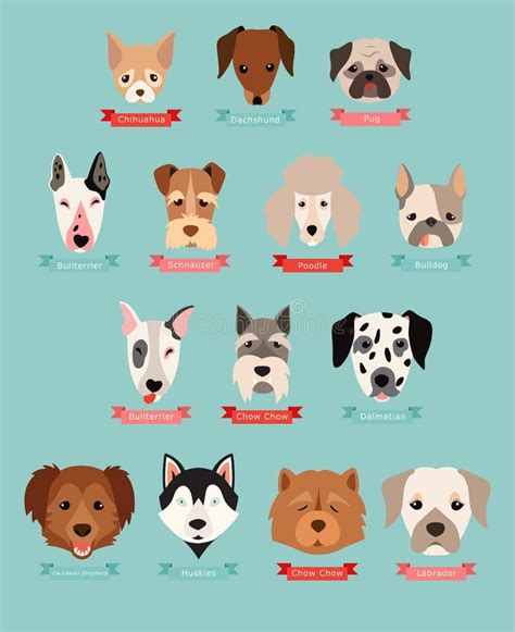 Dog Images With Name - They can reflect your style or interests, or ...