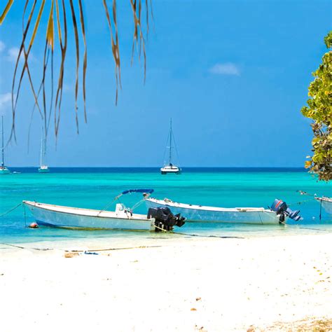 Los Roques Beach Venezuela Wall Art | Photography