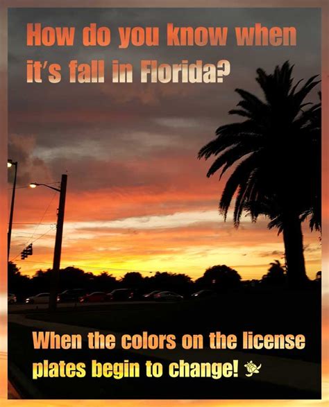 How do you know when its fall in Florida? | Florida quotes, Florida funny, Florida