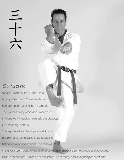 58 Best ShitoRyu Karate-Do images | Karate, The grandmaster, Teacher name