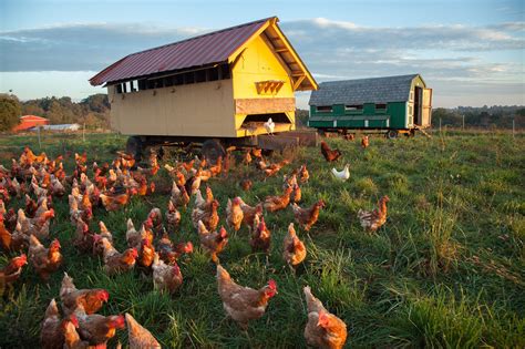 Learn Biodynamic Farming in Camphill | Become a Steward of the Earth