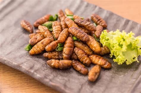 Fried insects | Crunchy Critters