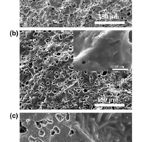 Micrographs of ceramics microstructure sintered at (a) 1250 °C, 2 h;... | Download Scientific ...