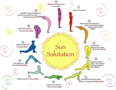 surya namaskar steps | 101yogasan