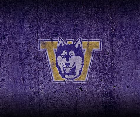 Washington Huskies Wallpaper - WallpaperSafari