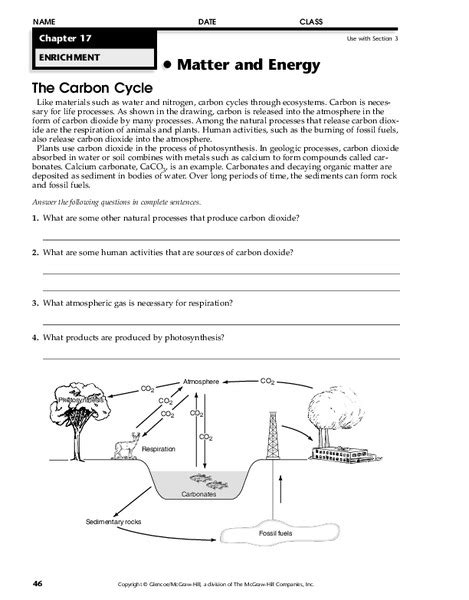 The Carbon Cycle Worksheet for 5th - 12th Grade | Lesson Planet