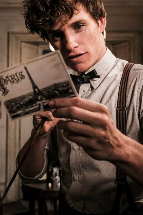 Newt Scamander // Eddie Redmayne | Fantastic beasts, Fantastic beasts ...