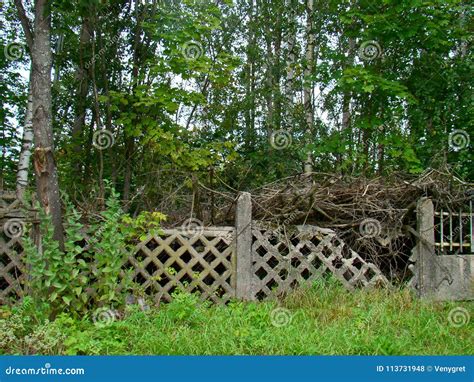 Old fence in the garden stock photo. Image of decrepit - 113731948