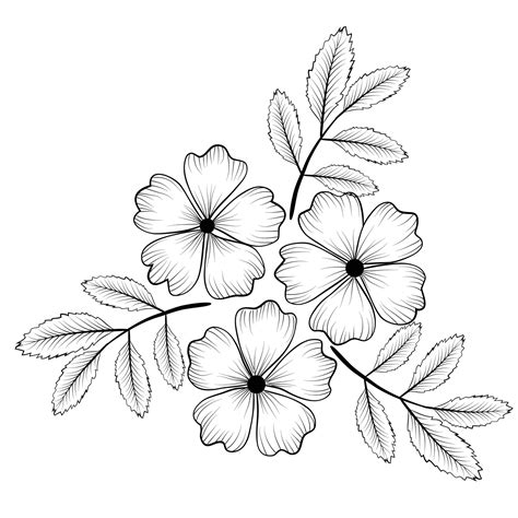 Simple Flower Line Drawing Vector | Best Flower Site