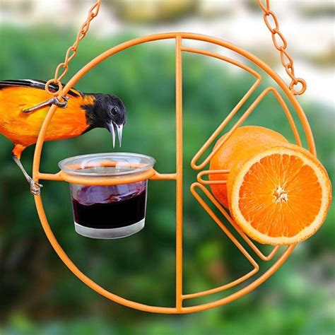 10 Types of Bird Feeders You Need in Your Backyard