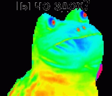 Get Out Frog Gif Rainbow