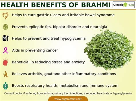 brahmiinfo Ayurvedic Herbs, Ayurvedic Medicine, Ayurveda, Healing Herbs, Holistic Healing ...