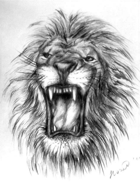 Lion Pencil Sketch Drawing | Sketch Drawing Idea