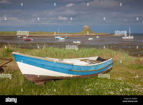 Traditional Coble fishing boats with a view to Lindisfarne Castle, Holy Island, Northumberland ...