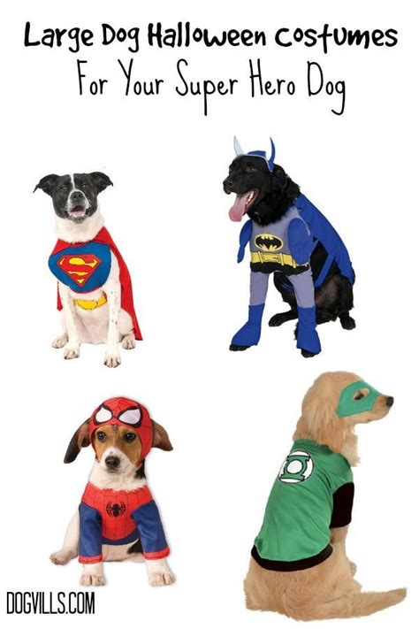 Large Dog Halloween Costumes for Your Super hero | Dog costumes ...