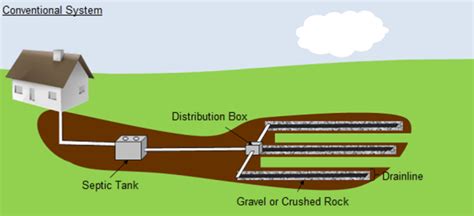 diy septic system diagram - Lorna Mcbee