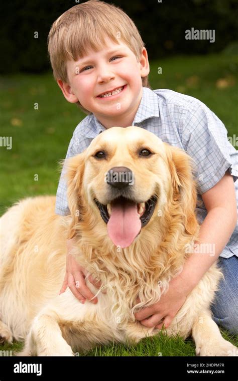 boy, pets, golden retriever, boys, pet, golden retrievers Stock Photo - Alamy