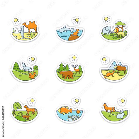 Biodiversity stickers icons. Desert, temperate forest, taiga forest, freshwater badge for ...