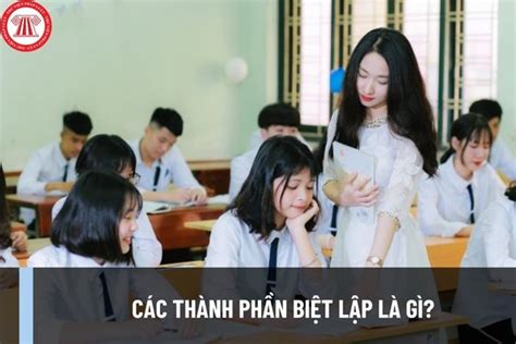 Các thành phần biệt lập là gì? Các thành phần biệt lập gồm những gì? Ví dụ của các thành phần ...