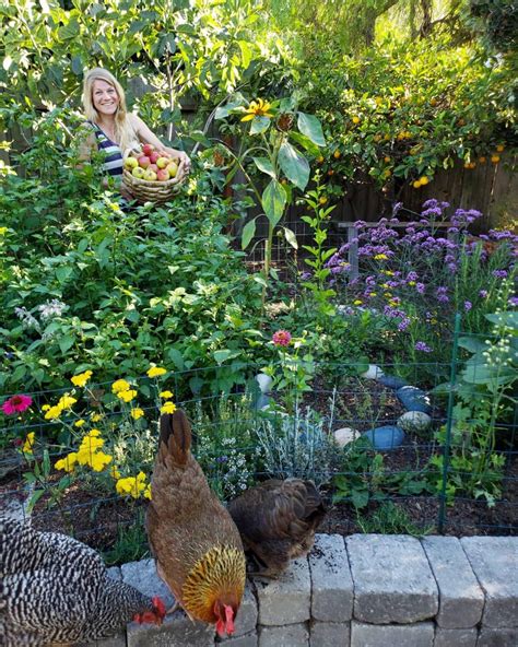 How to Turn Your Yard or Garden into a Certified Wildlife Habitat ...