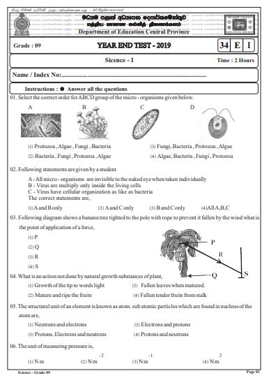 Grade 09 Science 3rd Term Test Paper 2019 English Medium - Central Province