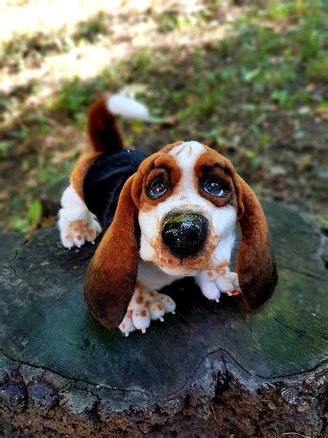 Basset Hound Puppy | Etsy | Hound puppies, Basset hound puppy, Basset ...