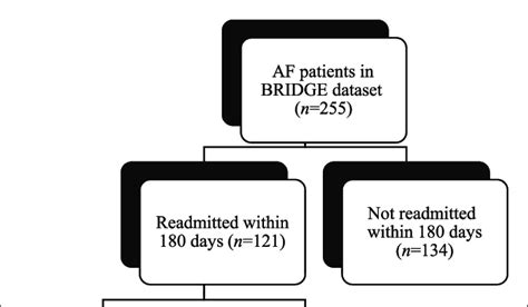 Patient flow diagram. AF: atrial fibrillation; BRIDGE: Bridging the ...