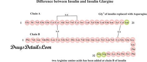 Insulin Glargine - Drugs Details