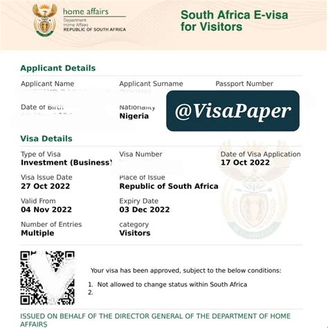 How to Apply for a South African E-Visa from Nigeria - Visa Blog