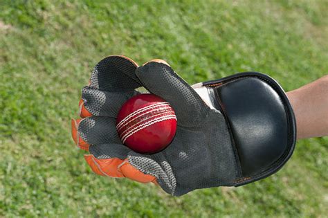 Wicket Keeper Glove Stock Photos, Pictures & Royalty-Free Images - iStock