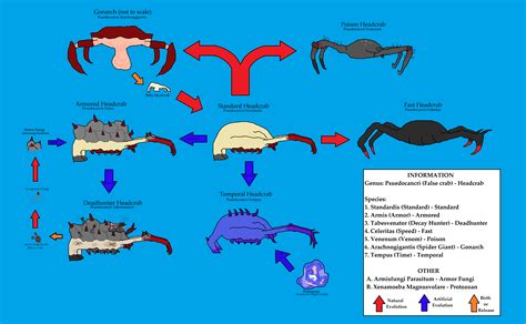 Updated Version of the Headcrab Evolution Chart : r/HalfLife