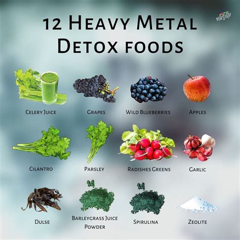 Detoxing for Beginners: Avoiding Heavy Metal Toxicity